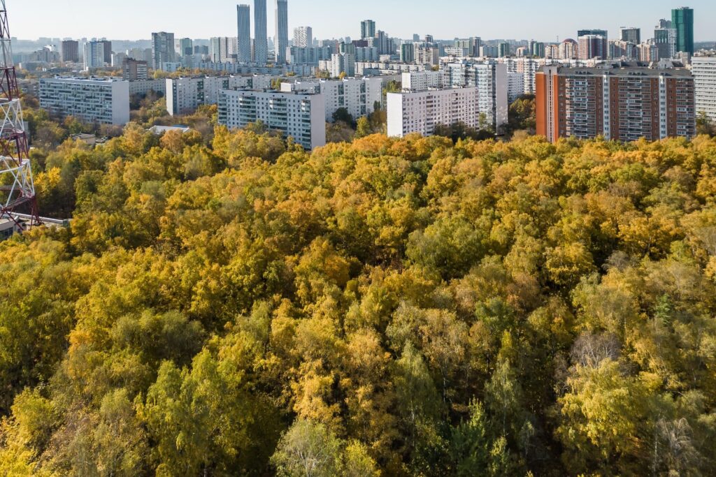 Октябрьское радиополе рядом с ЖК Велтон Парк